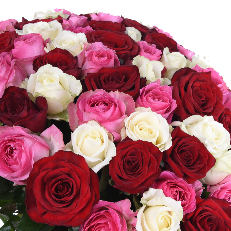 Букет роз омск. Букет бело-розовых роз. Букет красных и розовых роз. Букет из красных и розовых роз. Розы белые красные розовые.