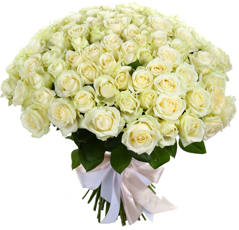 Купить цветы Букет из белых роз
