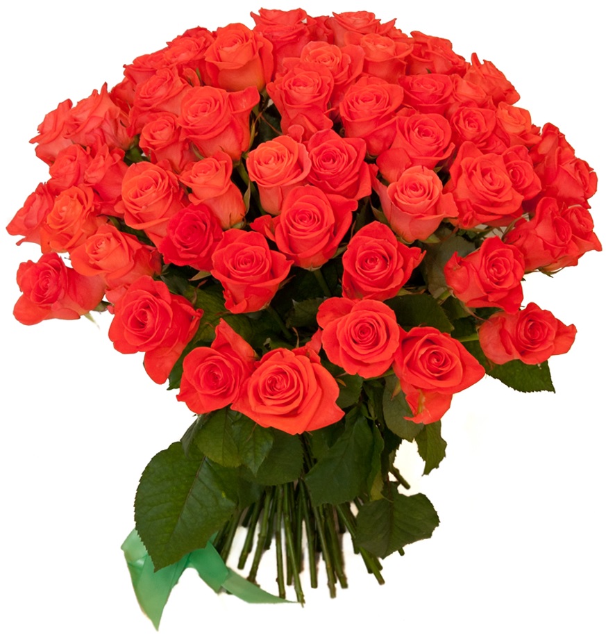 Купить цветы Букет из оранжевых роз