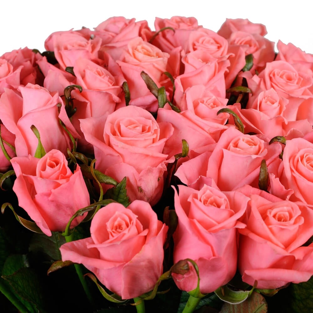 купить цветы Букет из нежно-розовых роз