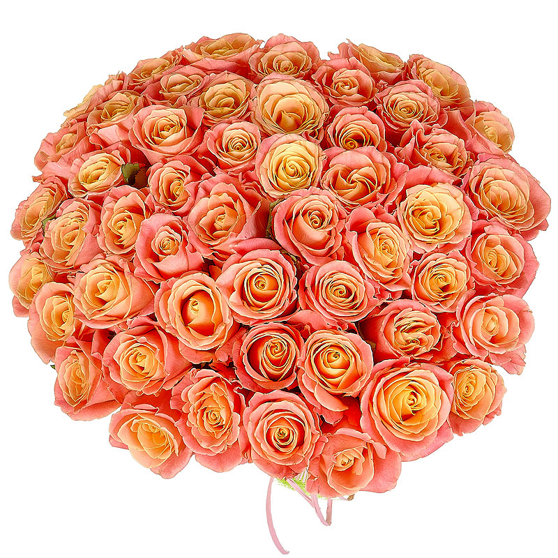 купить цветы Букет из коралловых роз 