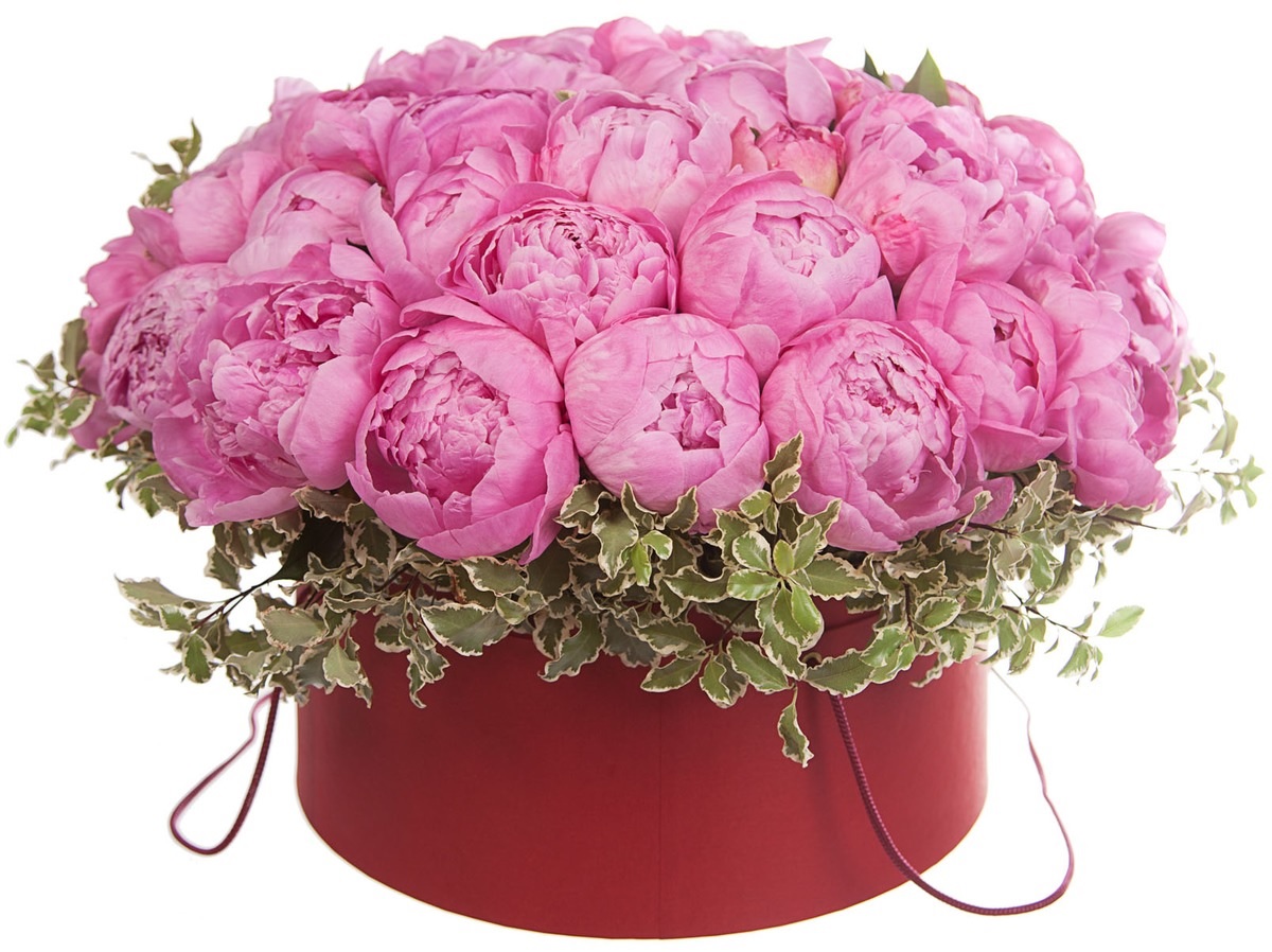 Купить цветы Коробка с ярко-розовыми пионами