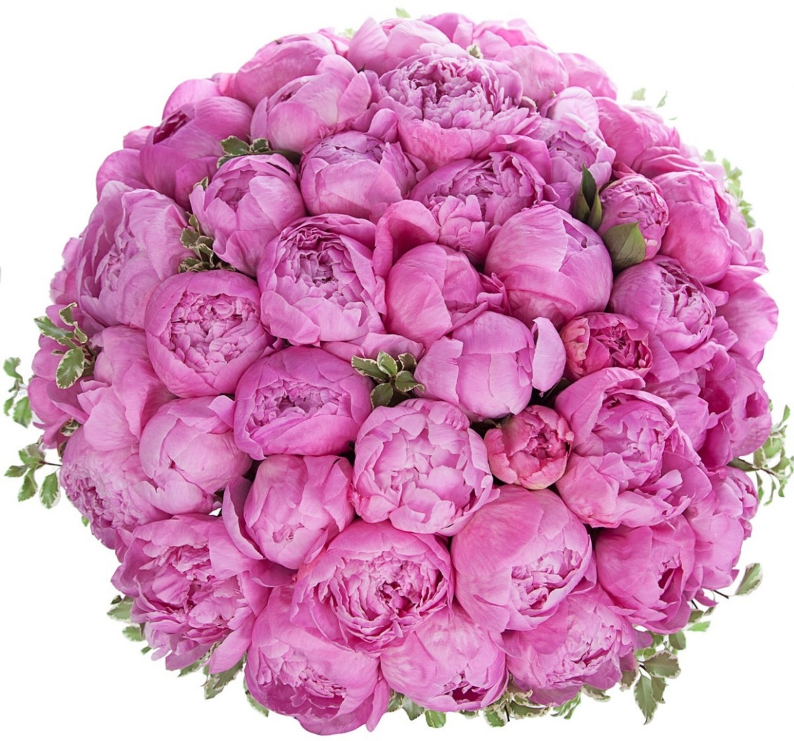 купить цветы Коробка с ярко-розовыми пионами