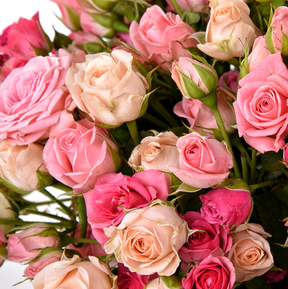 купить цветы Розовые кустовые розы в коробке