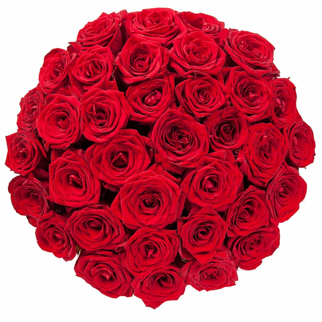 купить цветы Коробка с красными розами
