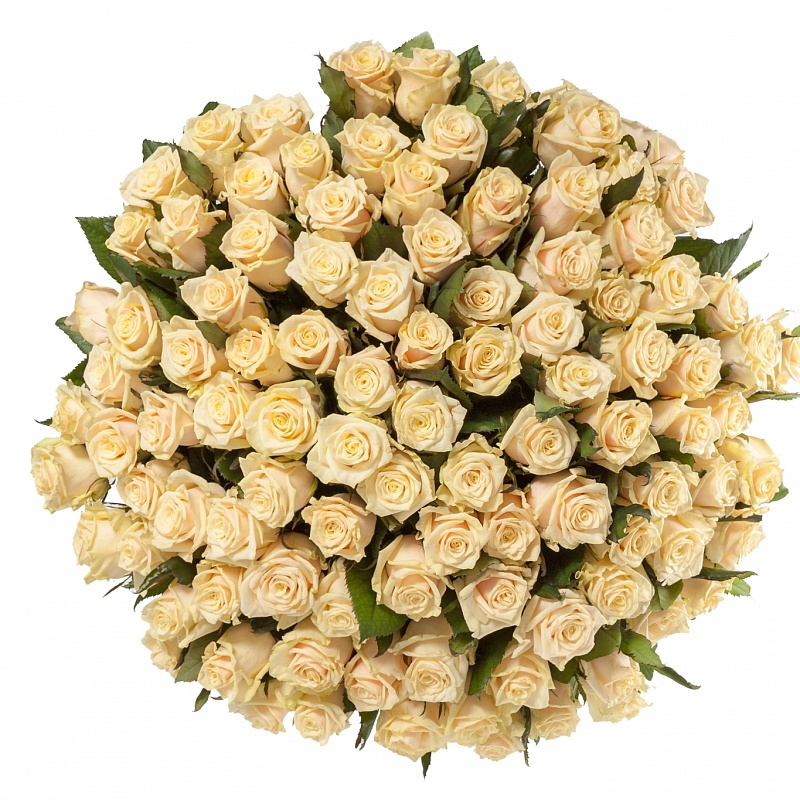 купить цветы Букет из кремовых роз